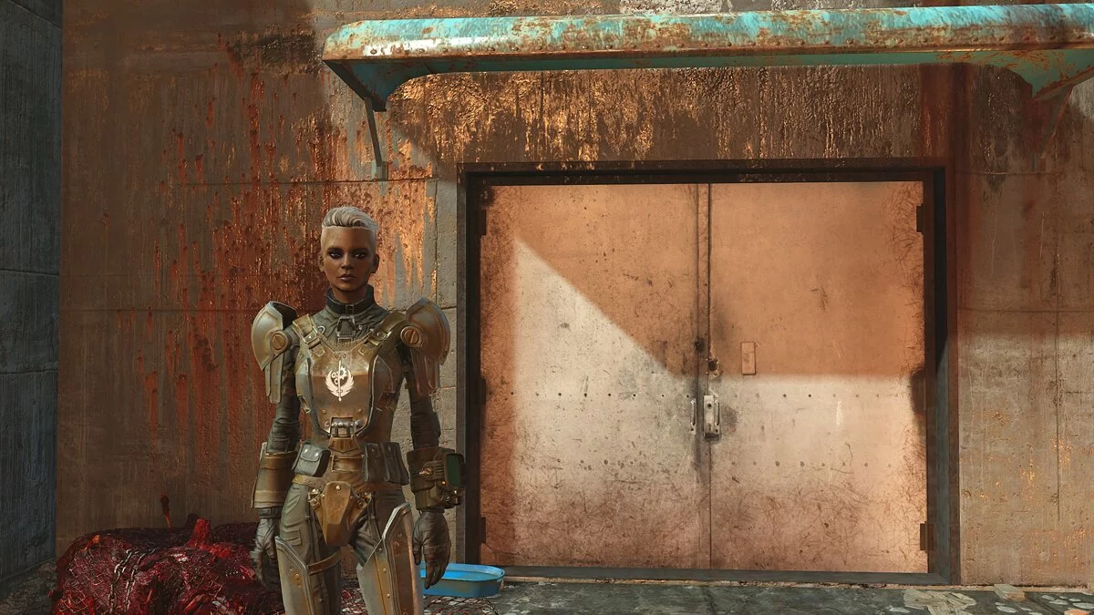 Fallout 4: Game of the Year Edition — Ithaca Jones preestablecida para el personaje principal.