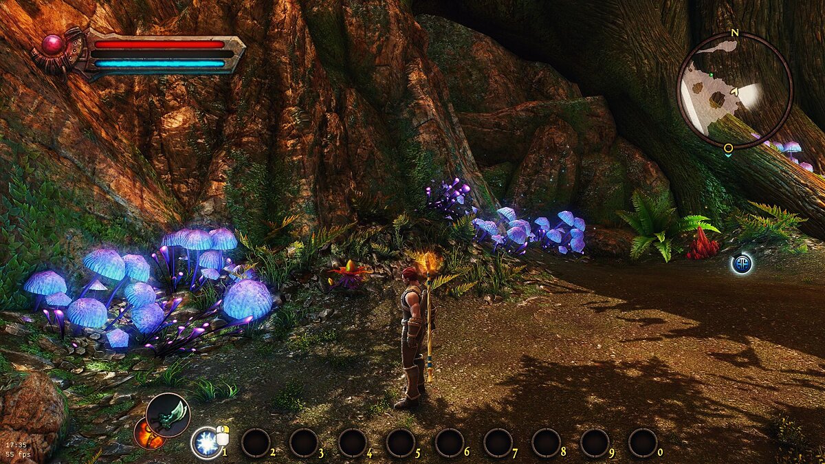 Kingdoms of Amalur: Reckoning — Improved colors