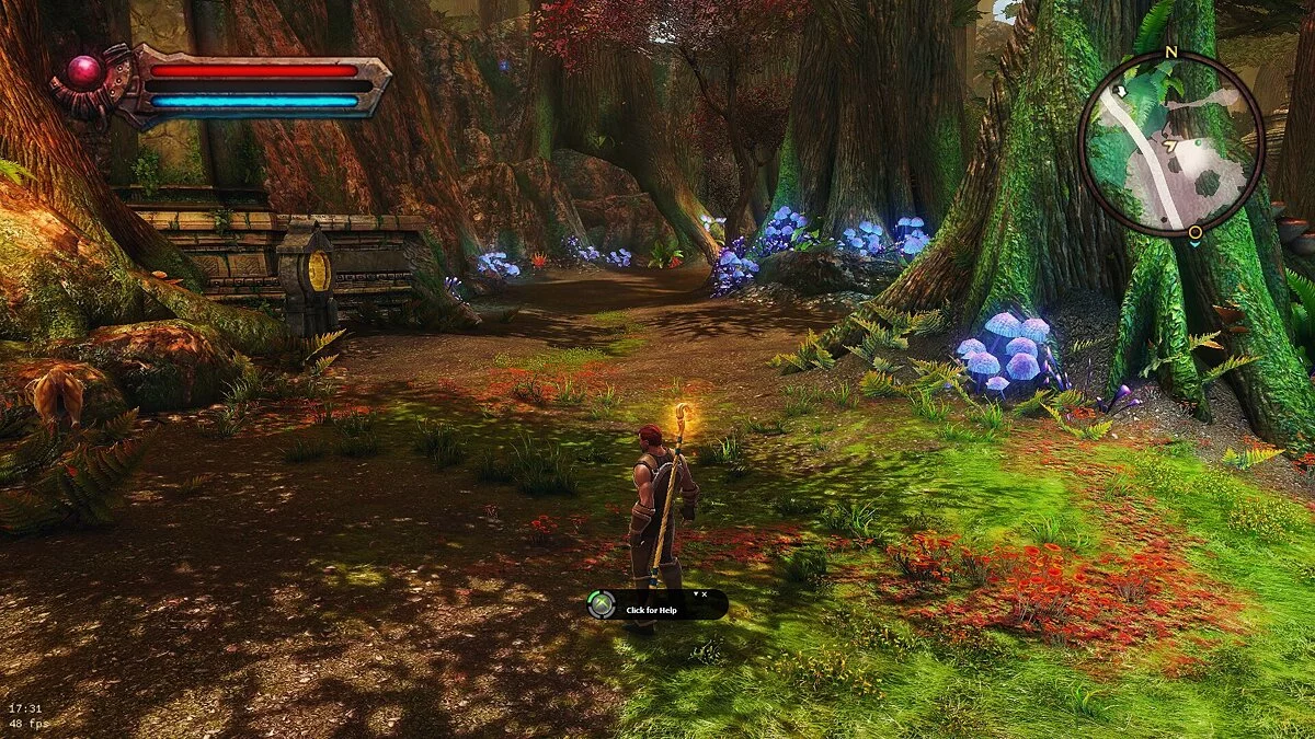 Kingdoms of Amalur: Reckoning — Покращені кольори