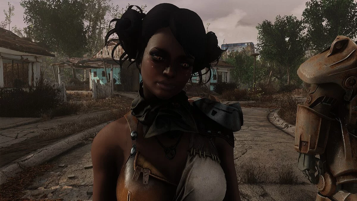 Fallout 4: Game of the Year Edition — Красивый пресет для главного героя