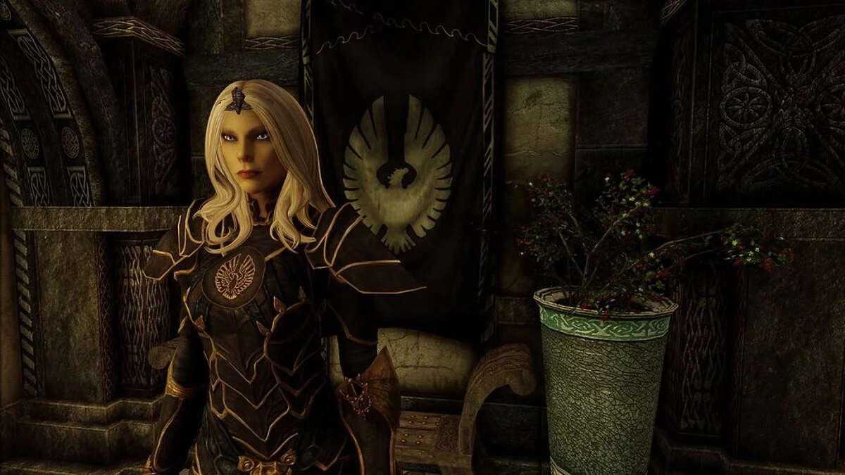 Elder Scrolls 5: Skyrim Special Edition — Queen Ayrenn - preset for a female character