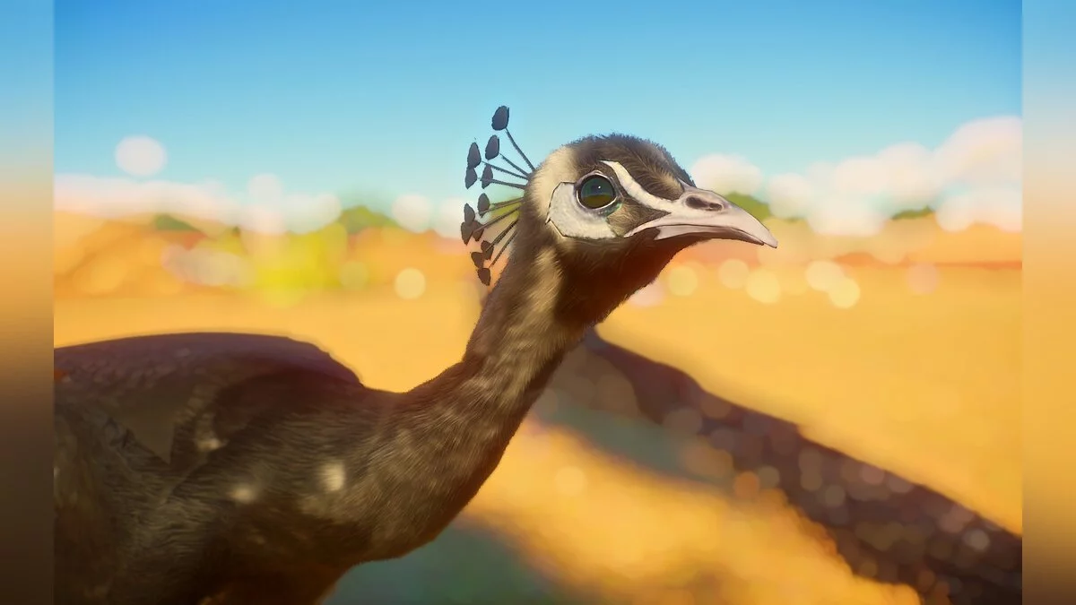 Planet Zoo — Разные цвета павлинов