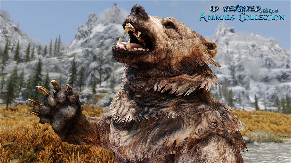 The Elder Scrolls 5: Skyrim — Bear textures in 4K