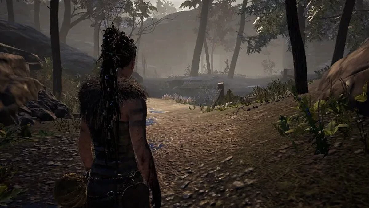 Hellblade: Senua&#039;s Sacrifice — Very strong optimization and graphics degradation