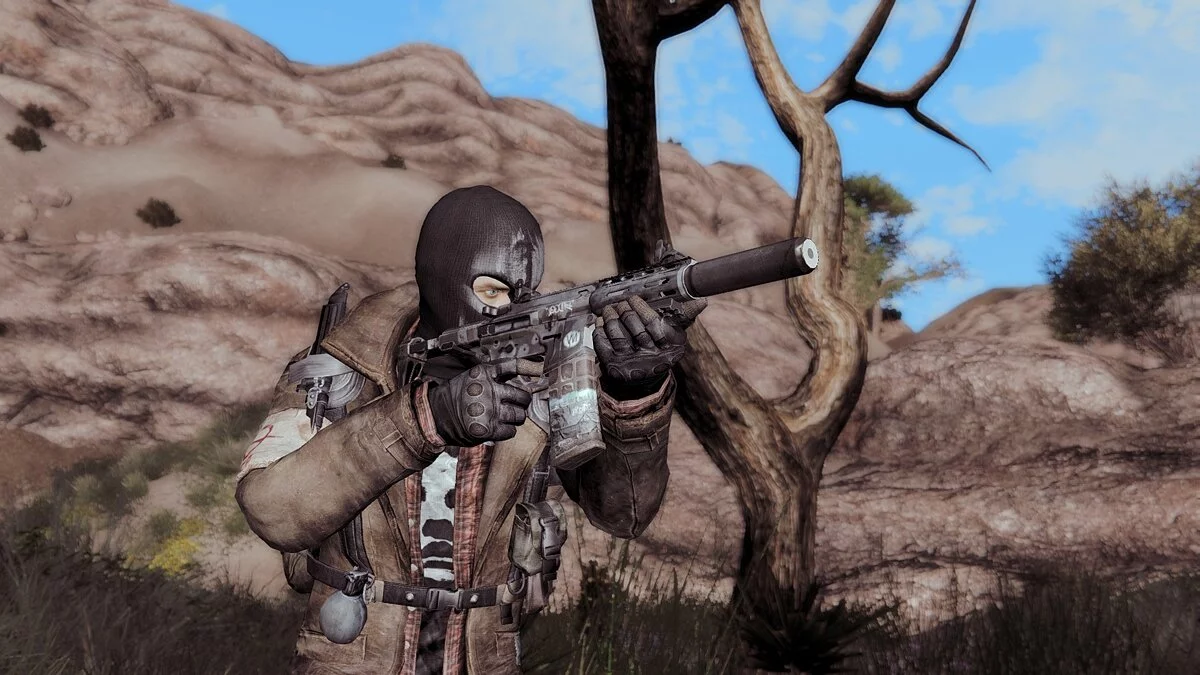 Fallout: New Vegas — Гвинтівка «Медовий борсук»