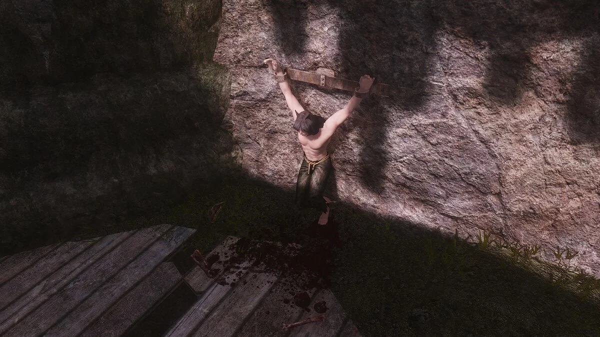 Elder Scrolls 5: Skyrim Special Edition — Кемомими - компаньон-оборотень