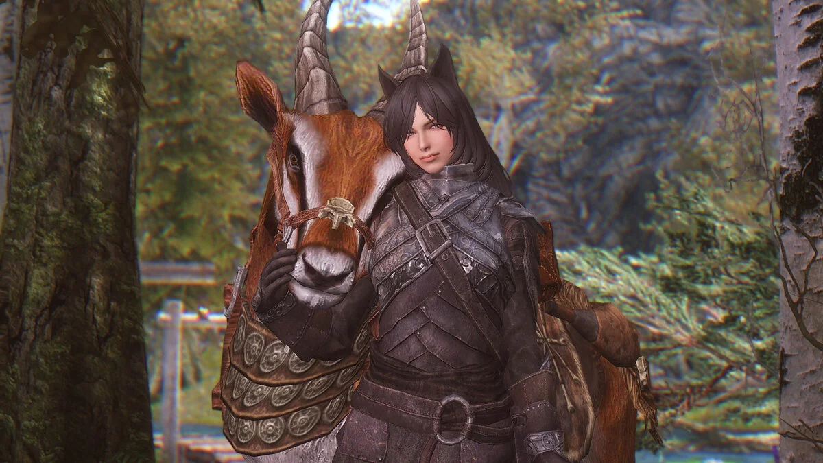 Elder Scrolls 5: Skyrim Special Edition — Кемомими - компаньон-оборотень