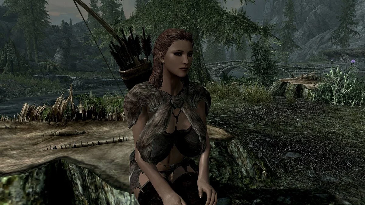 The Elder Scrolls 5: Skyrim Legendary Edition — Компаньон Брюлда