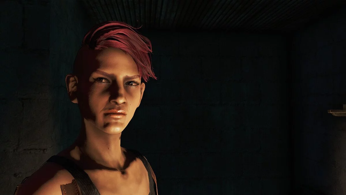 Fallout 4: Game of the Year Edition — Aurora - preset for the main character