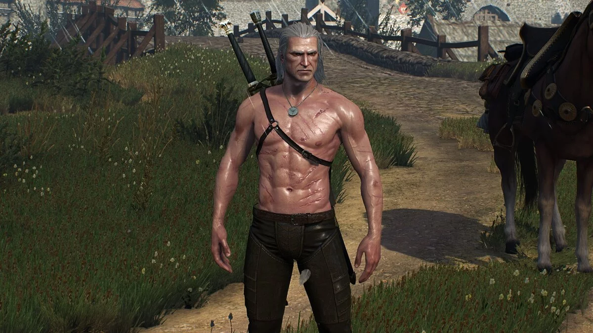 The Witcher 3: Wild Hunt - Complete Edition — Lean, muscular Geralt