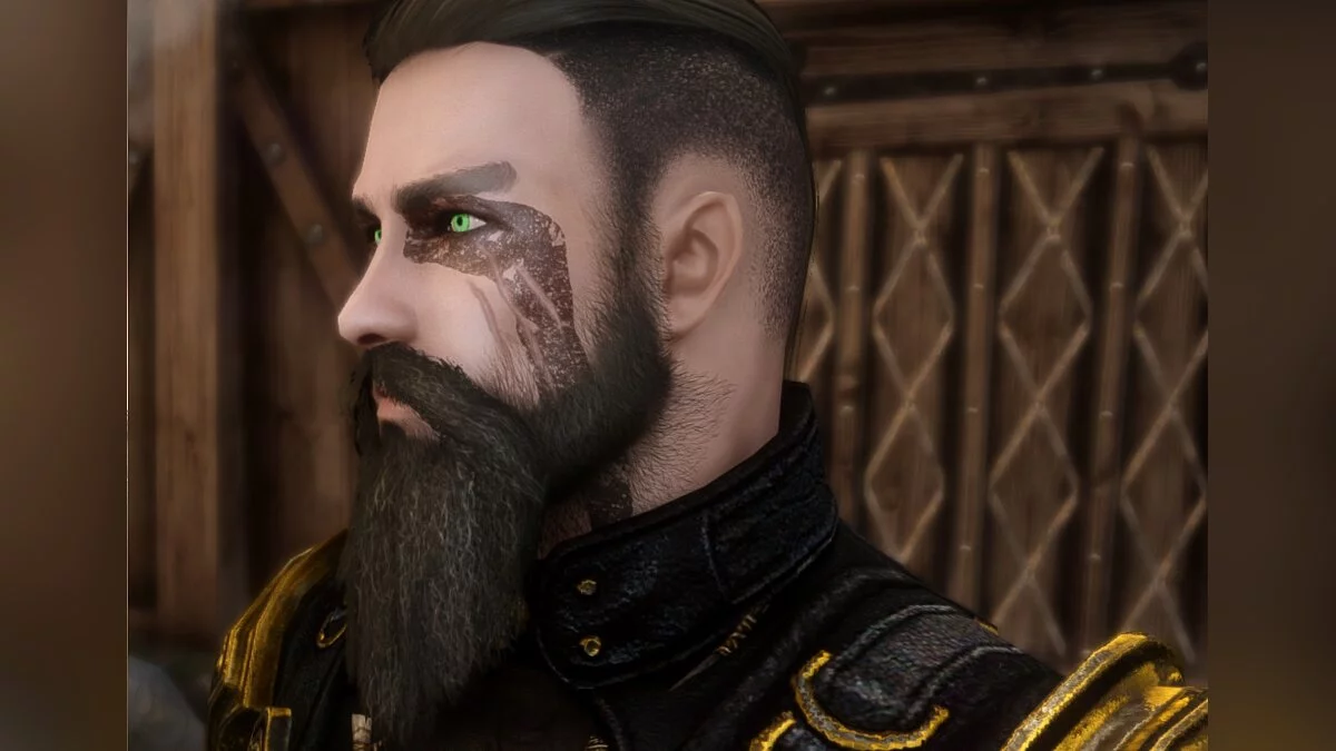 Elder Scrolls 5: Skyrim Special Edition — Новые бороды