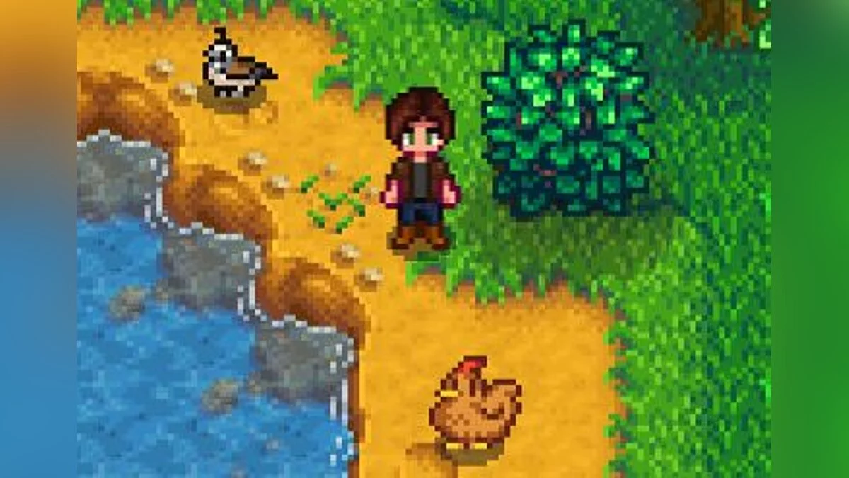 Stardew Valley — Quails and chicks