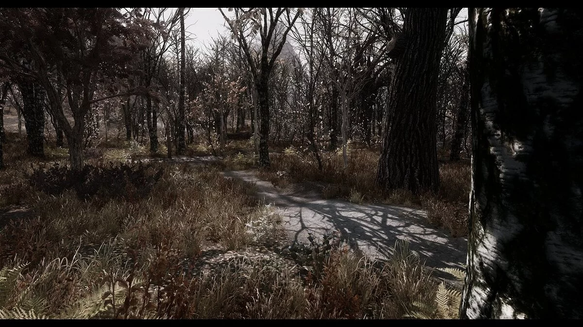 Elder Scrolls 5: Skyrim Special Edition — Мрачный ENB