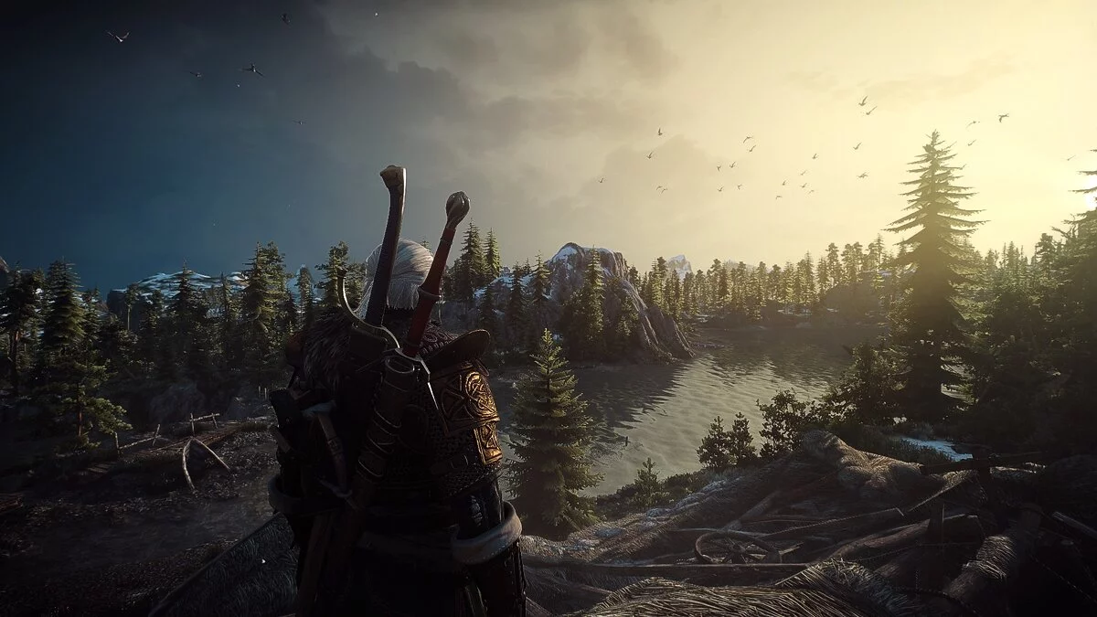 The Witcher 3: Wild Hunt - Complete Edition — Новый реализм