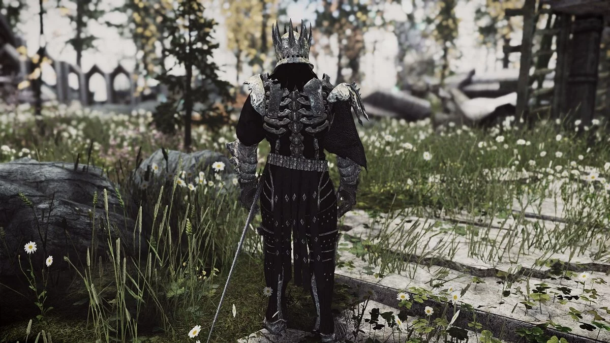 Elder Scrolls 5: Skyrim Special Edition — Броня Эредина из игры «Ведьмак 3: Дикая охота»