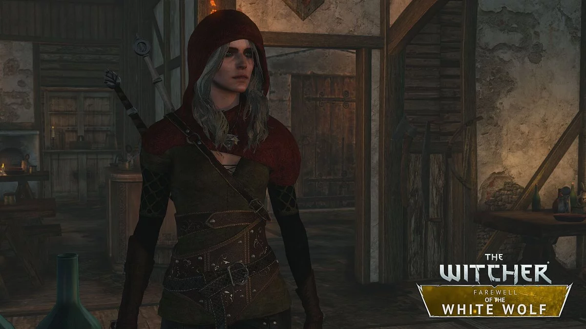 The Witcher 2: Assassins of Kings — Эпилог The Witcher 3