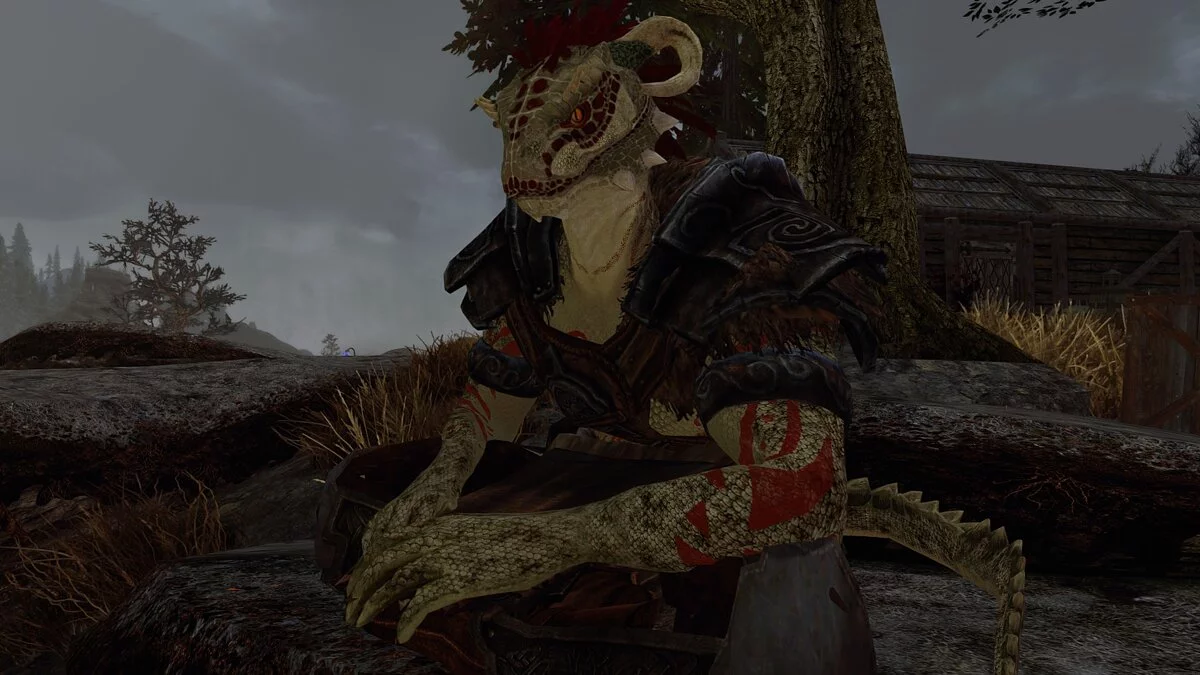 Elder Scrolls 5: Skyrim Special Edition — Дракиус - пресет для главного героя