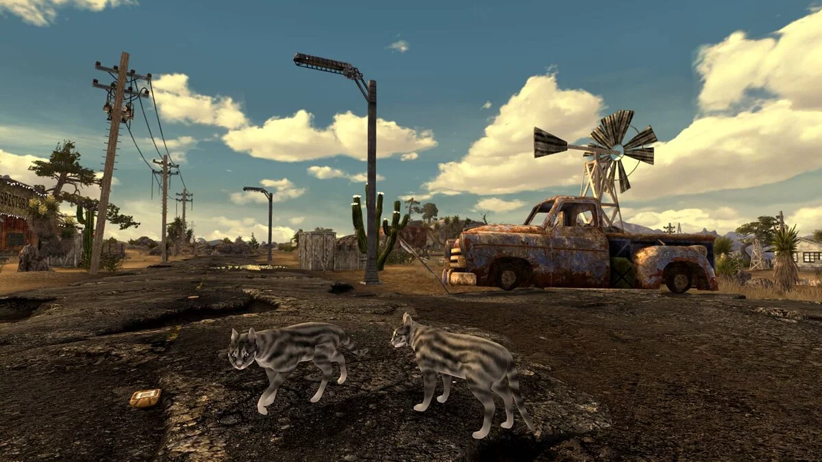 Fallout: New Vegas — Бездомные кошки в пустоши