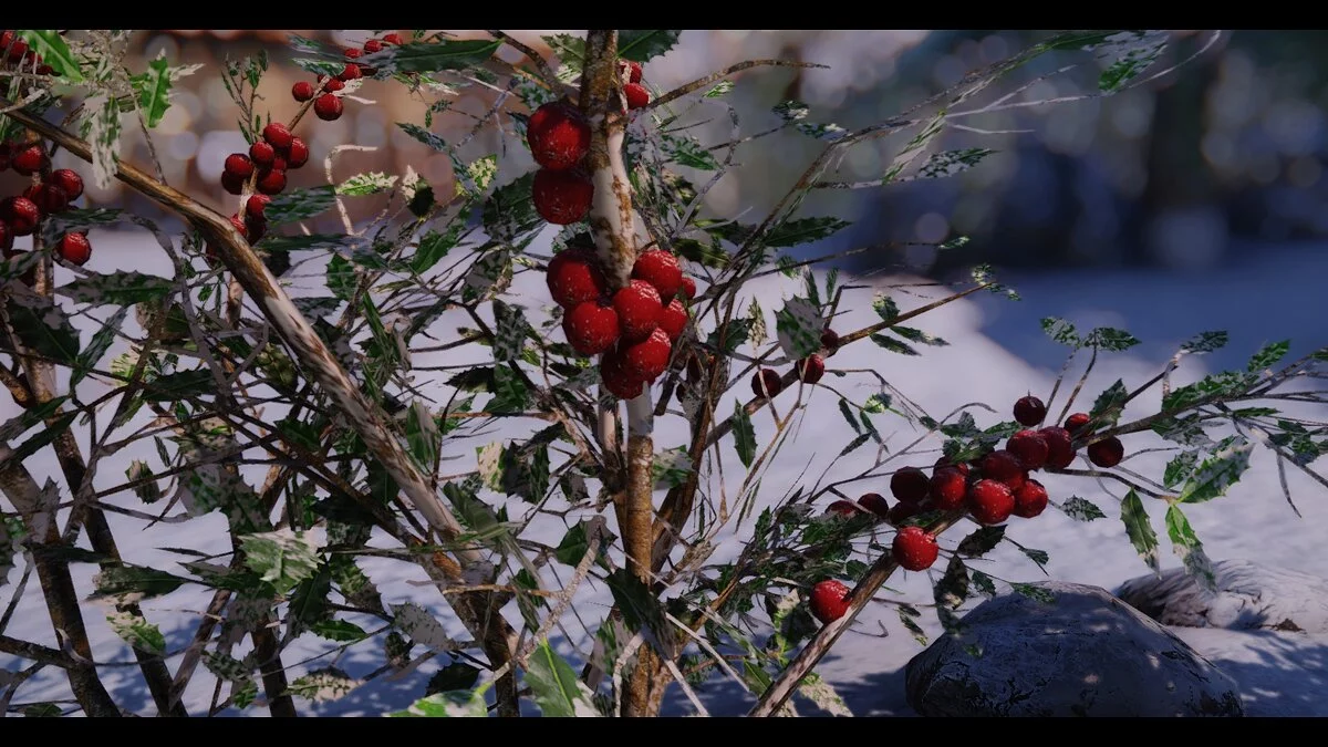 The Elder Scrolls 5: Skyrim Legendary Edition — HD текстуры для снежных ягод