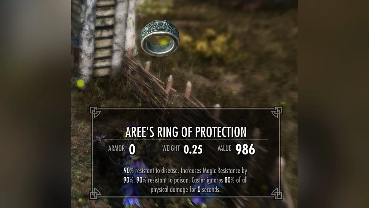 Elder Scrolls 5: Skyrim Special Edition — Ring of Protection