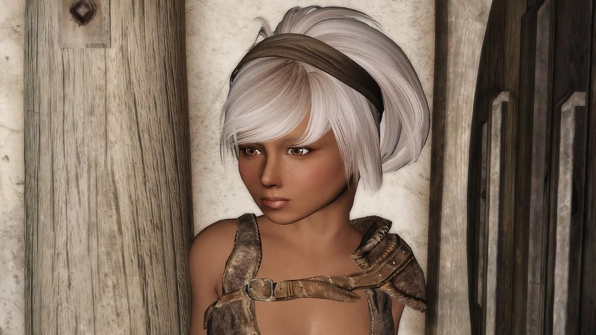 The Elder Scrolls 5: Skyrim Legendary Edition — Компаньон Элеонора