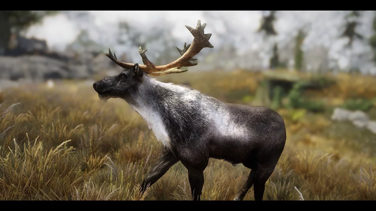 The Elder Scrolls 5: Skyrim Legendary Edition — Real moose and deer