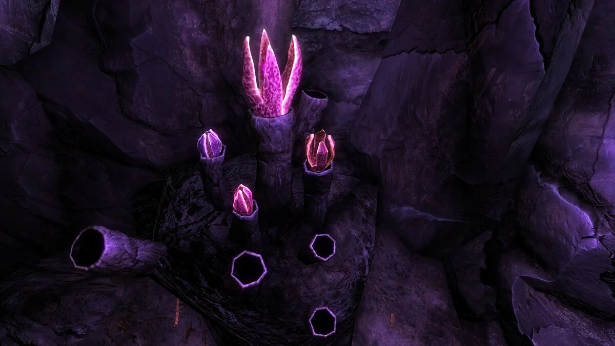 Elder Scrolls 5: Skyrim Special Edition — Ретекстур пещерного цветка