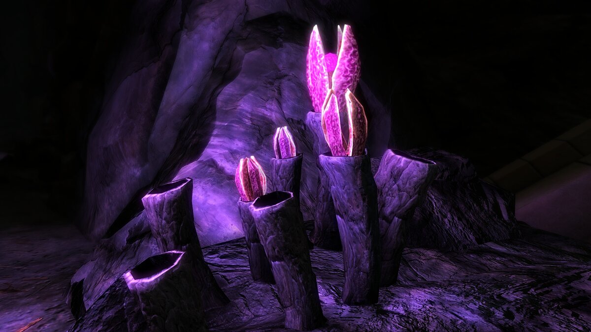 Elder Scrolls 5: Skyrim Special Edition — Cave flower retexture