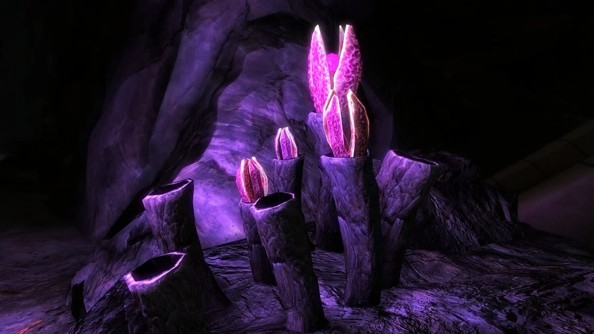 Elder Scrolls 5: Skyrim Special Edition — Cave flower retexture