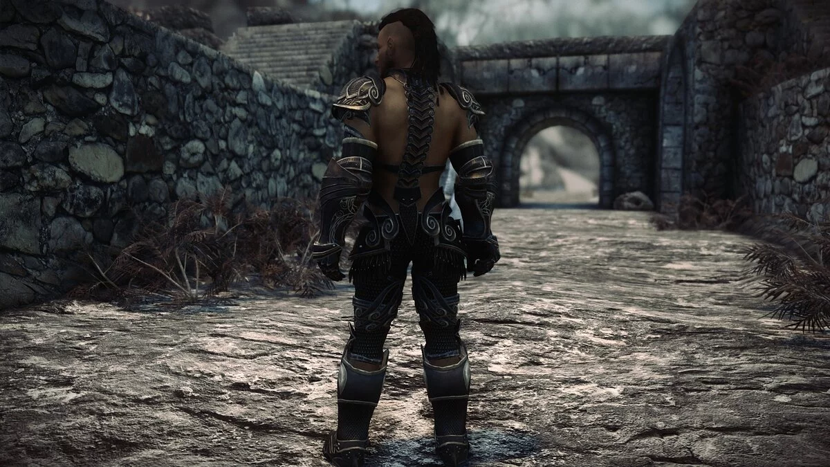 Elder Scrolls 5: Skyrim Special Edition — Аврелиан - воин высших эльфов