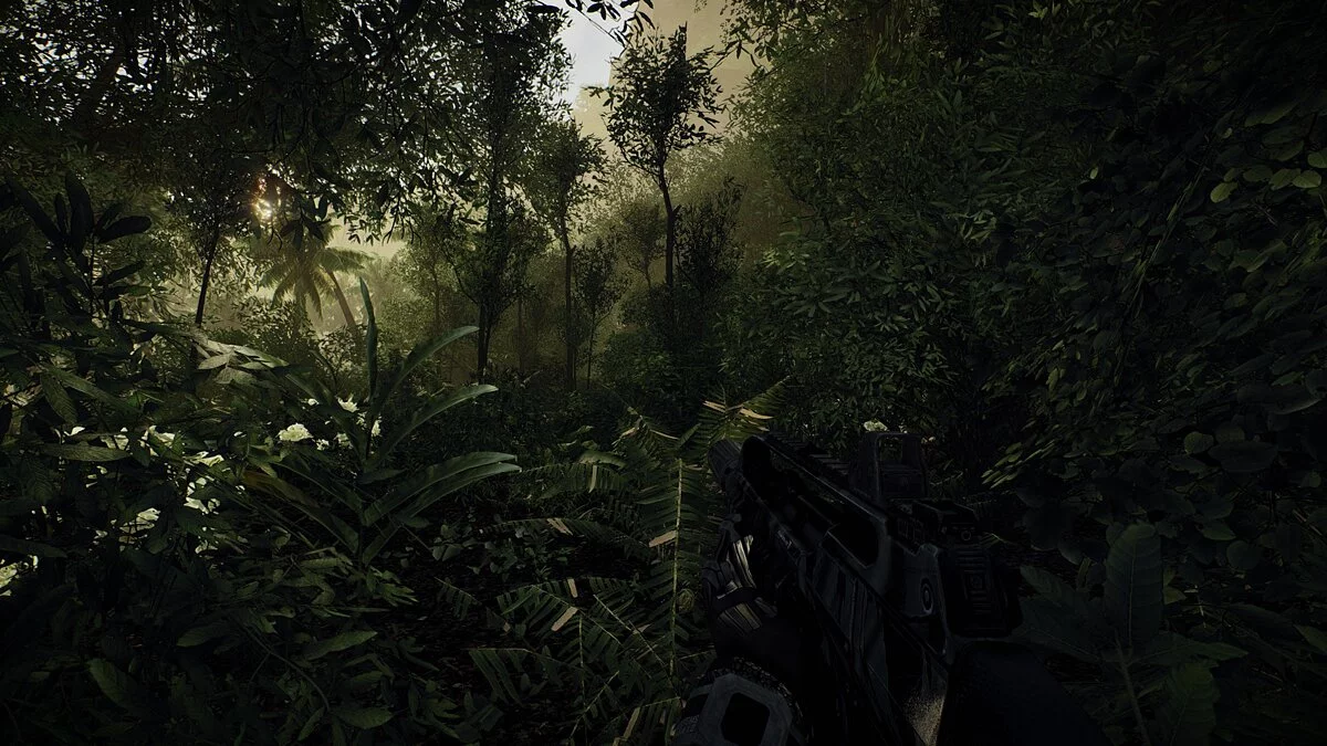 Crysis — Improved graphics and 8k textures