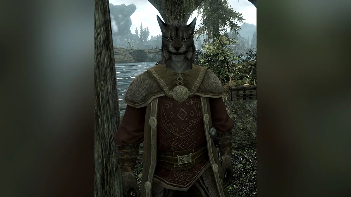 The Elder Scrolls 5: Skyrim Legendary Edition — Леопардо да Линчи