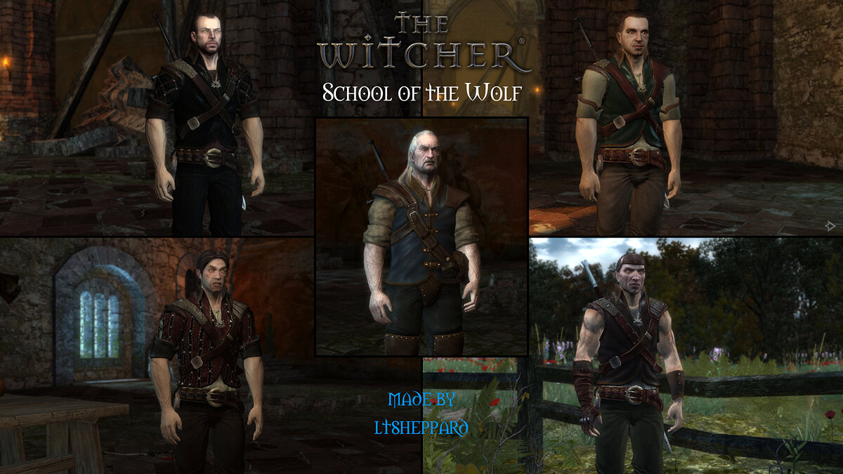 The Witcher — Wolf School