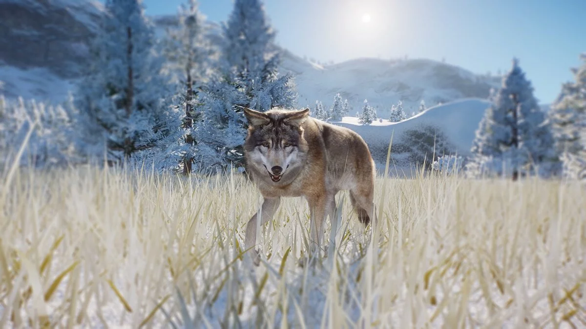 Planet Zoo — HD лесной волк