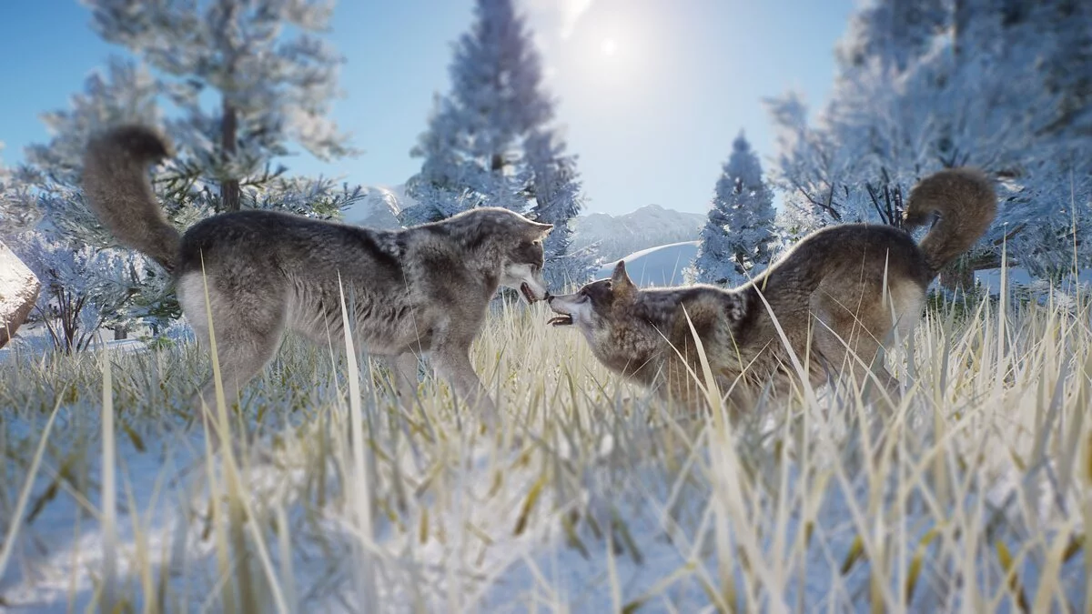 Planet Zoo — HD лесной волк