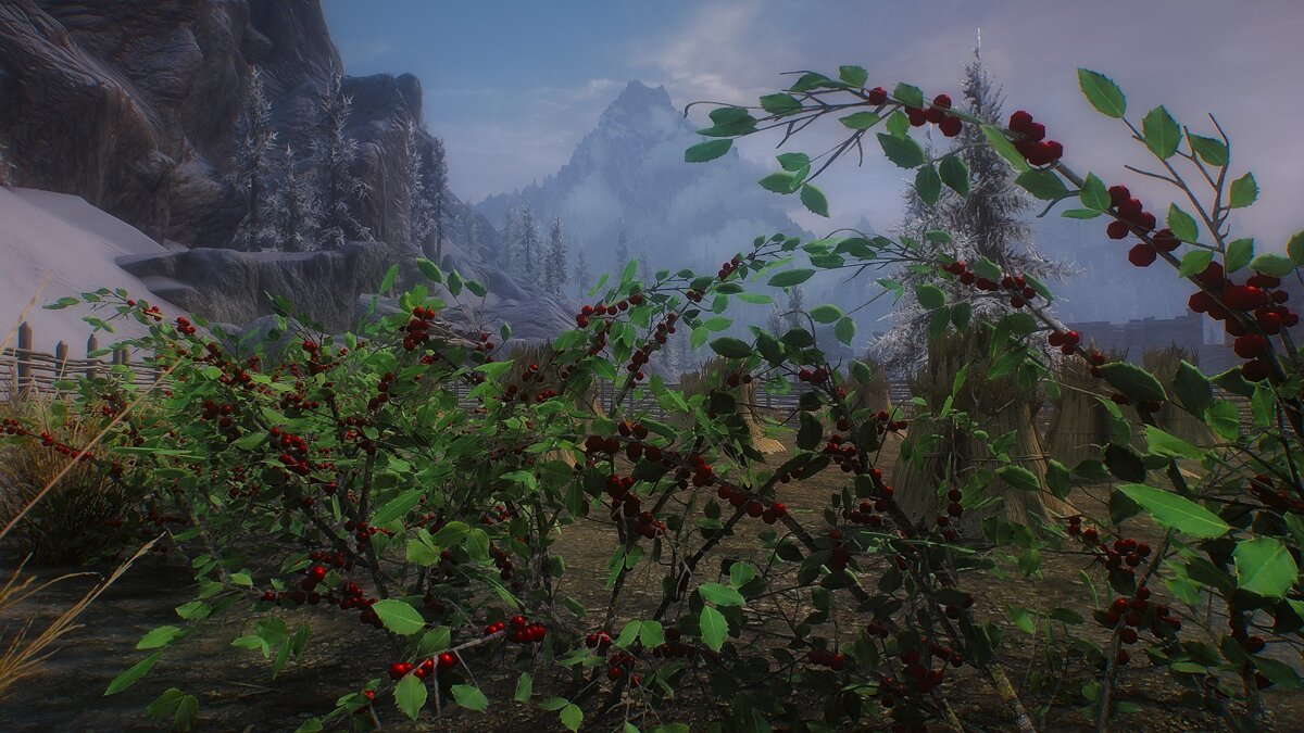 Elder Scrolls 5: Skyrim Special Edition — HD snow berry