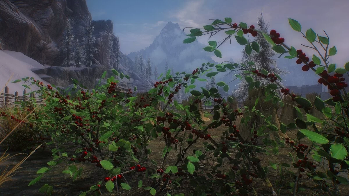 Elder Scrolls 5: Skyrim Special Edition — HD snow berry