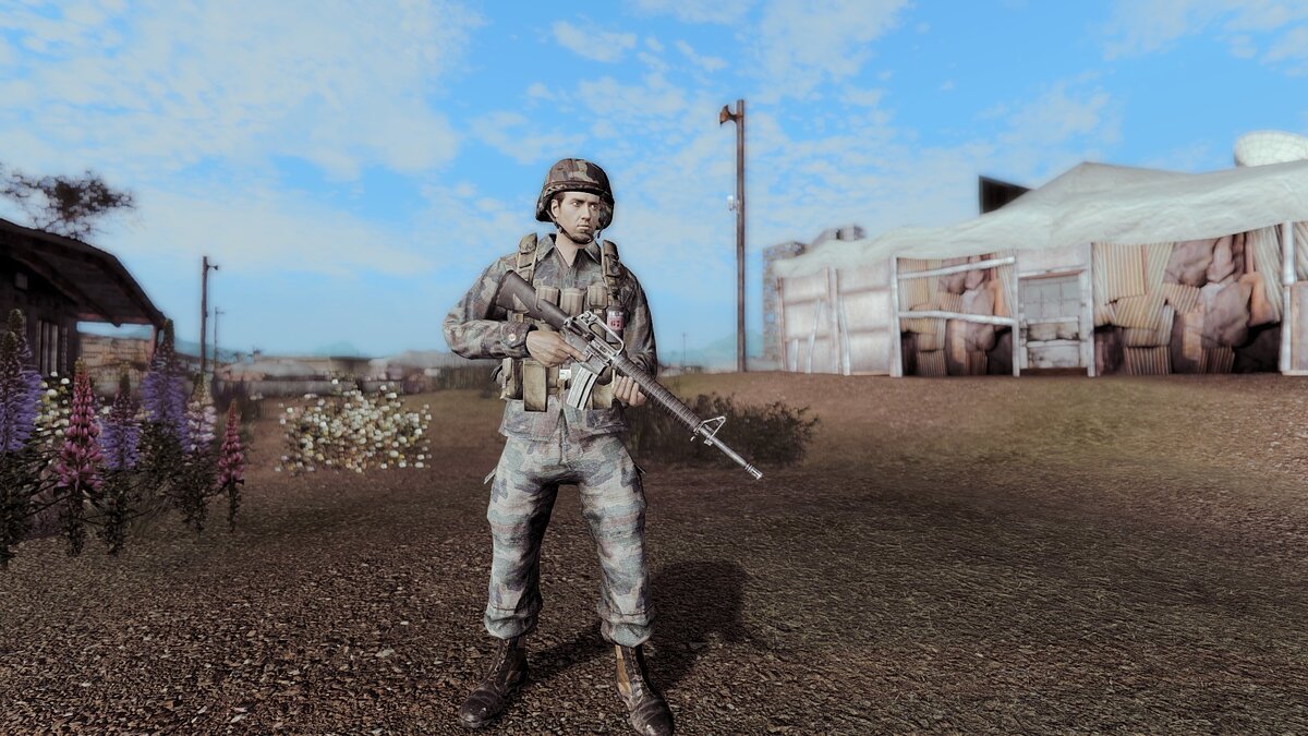 Fallout: New Vegas — Camouflage from the game Call of Duty Black Ops 2