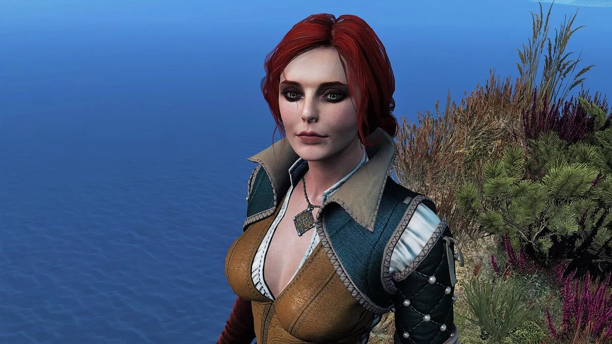 The Witcher 3: Wild Hunt - Complete Edition — Новое лицо Трисс