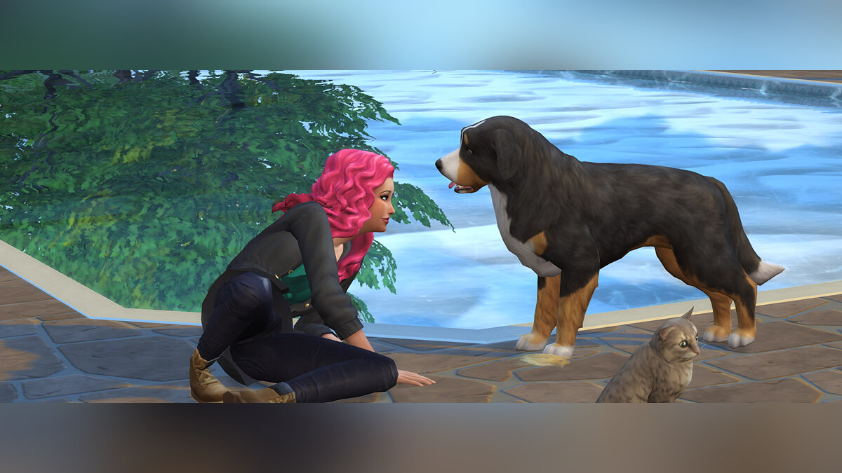 The Sims 4 — My pets (11/12/2020)