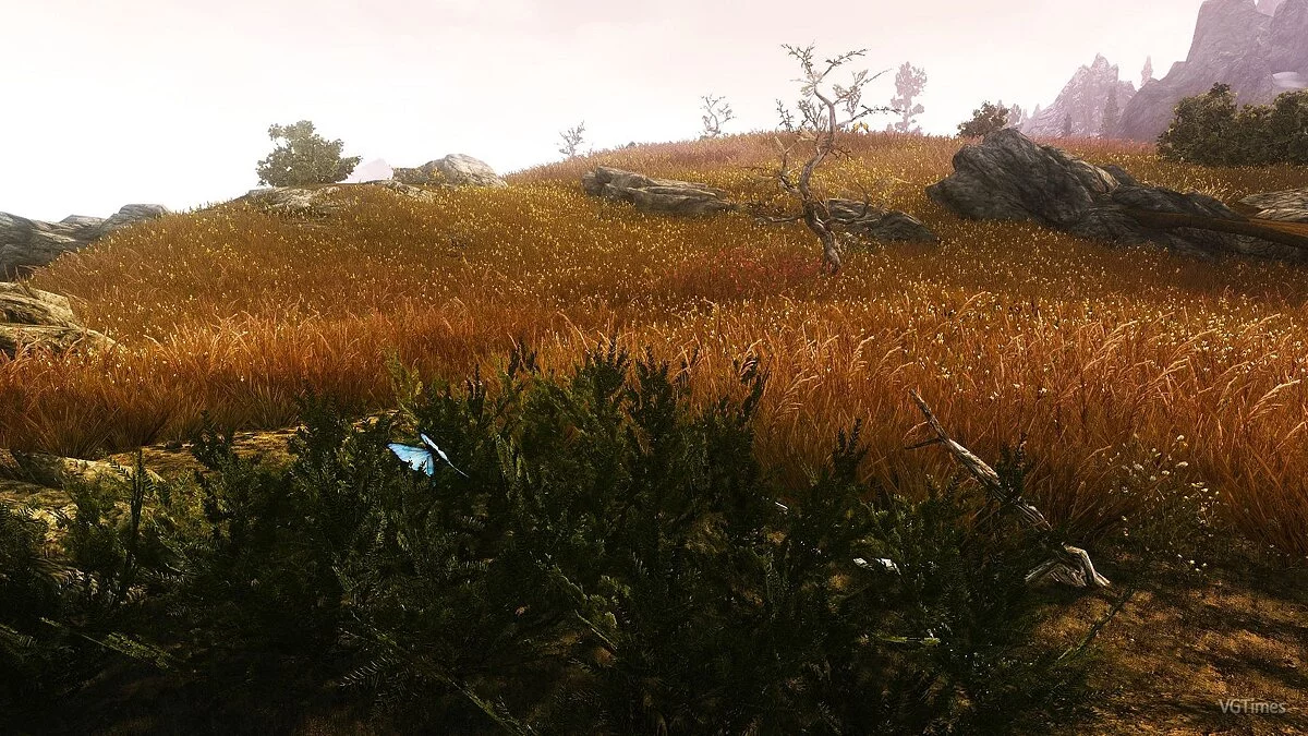The Elder Scrolls 5: Skyrim — Зеленые травы Скайрима 2.2