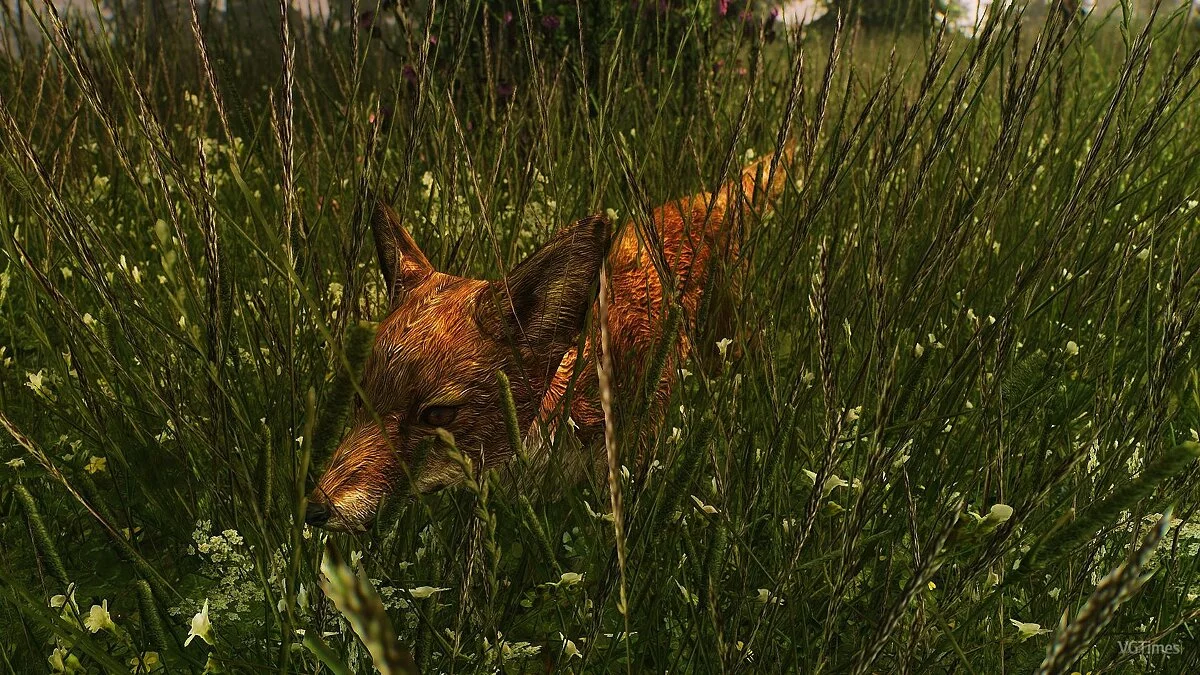 The Elder Scrolls 5: Skyrim — Зеленые травы Скайрима 2.2