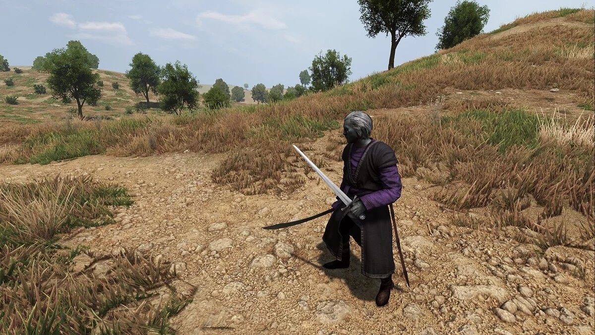 Mount &amp; Blade 2: Bannerlord — Збірник зброї