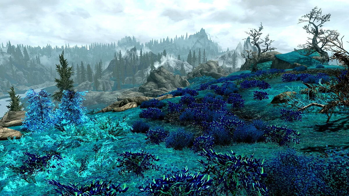 The Elder Scrolls 5: Skyrim Legendary Edition — Blue grass