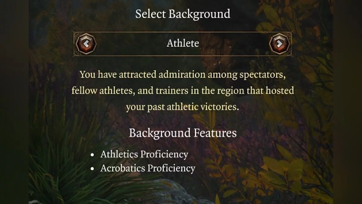 Baldur&#039;s Gate 3 — Расширенные фоны