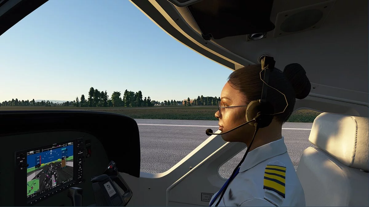 Microsoft Flight Simulator — Видимий другий пілот