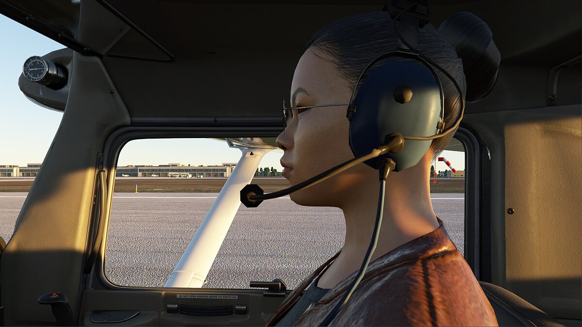 Microsoft Flight Simulator — Visible co-pilot