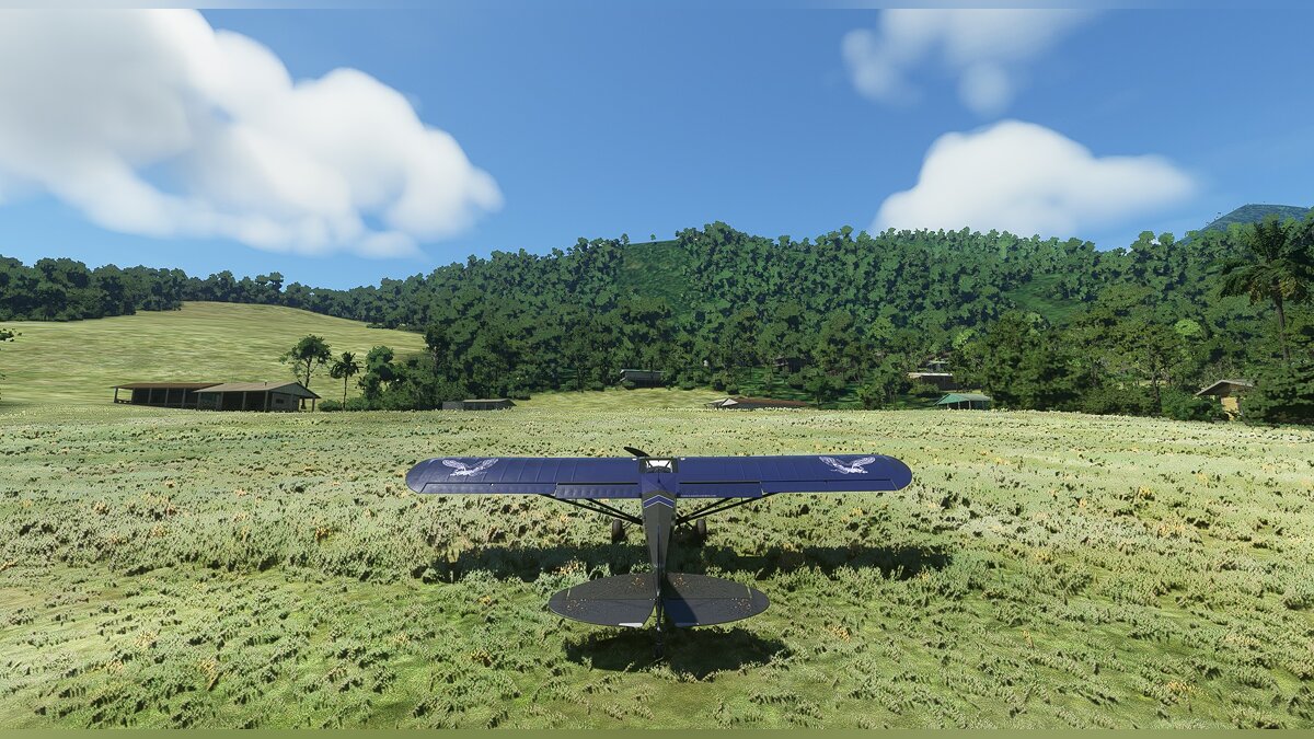 Microsoft Flight Simulator — East Papua - illegal runways