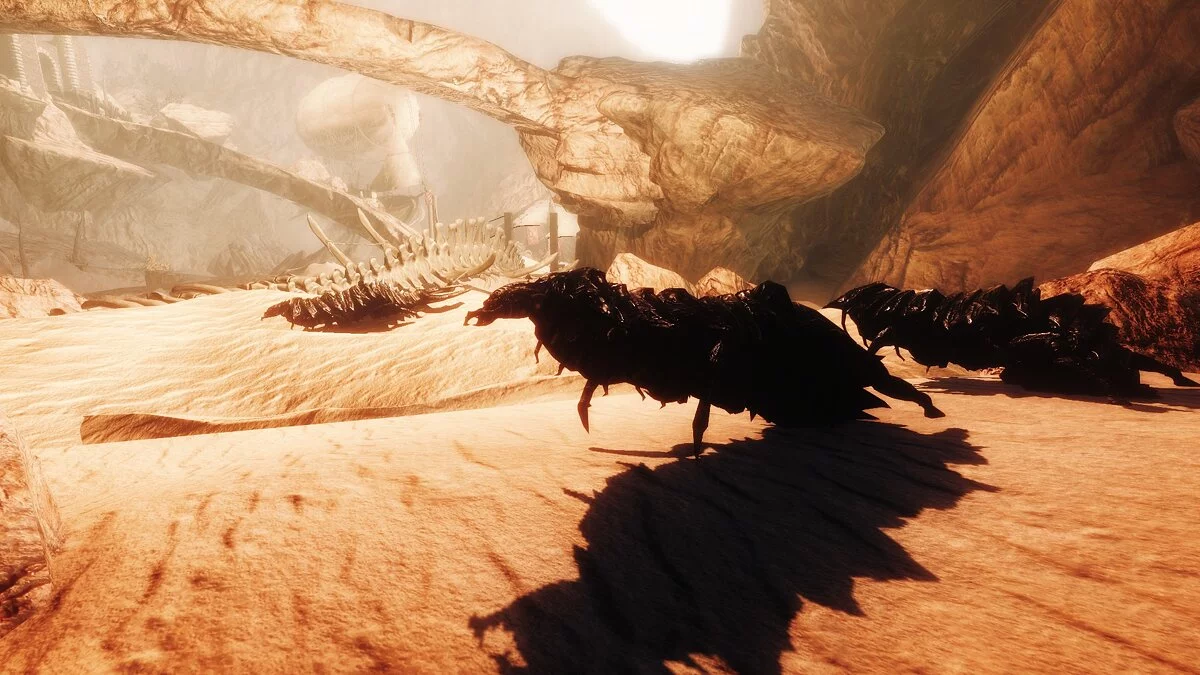 The Elder Scrolls 5: Skyrim Legendary Edition — Лунная тропа в Эльсвейр