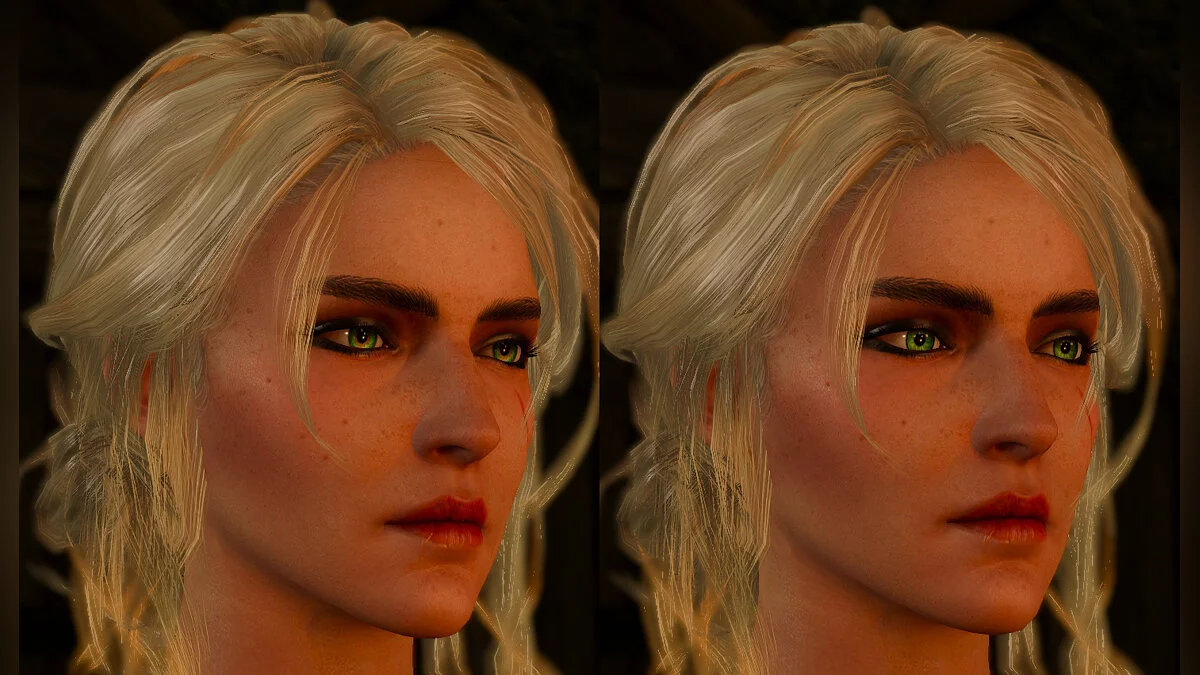 The Witcher 3: Wild Hunt - Complete Edition — Increíbles ojos de Ciri.